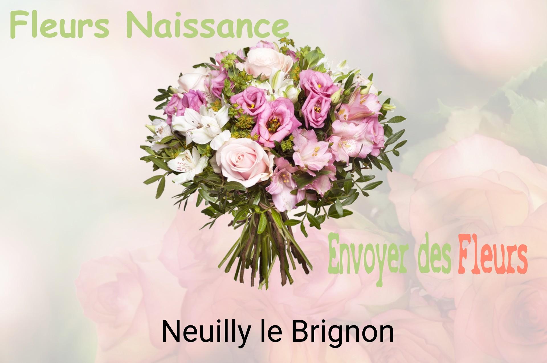 Bouquet de fleurs de naissance livré à Neuilly-le-Brignon