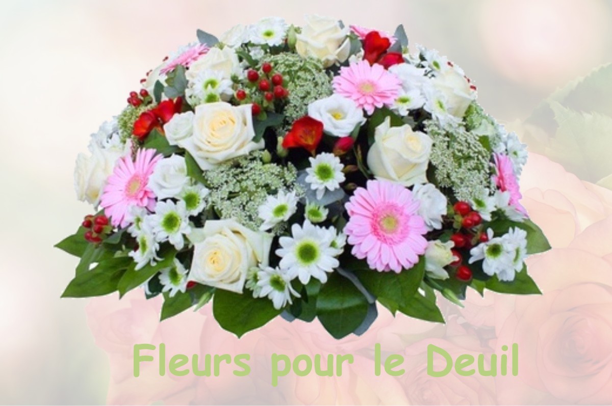 fleurs deuil NEUILLY-LE-BRIGNON