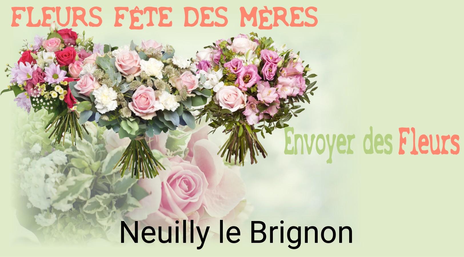 Bouquet de Fête des Mères livré à Neuilly-le-Brignon